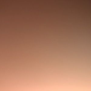 Meet your Posher, Jayce